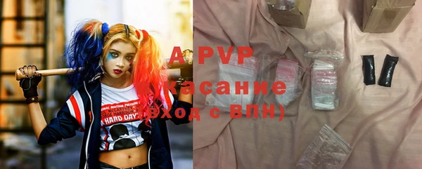 шишки Белокуриха