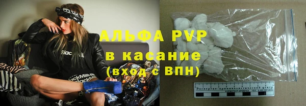 шишки Белокуриха