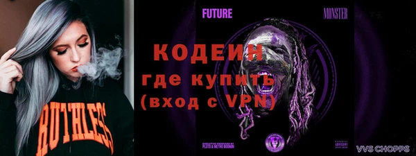 шишки Белокуриха