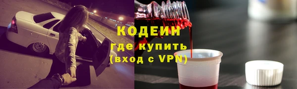 шишки Белокуриха