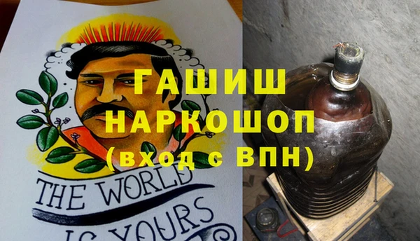 шишки Белокуриха