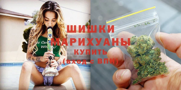 шишки Белокуриха