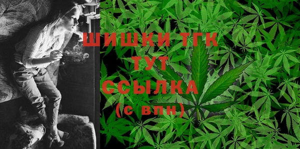 шишки Белокуриха
