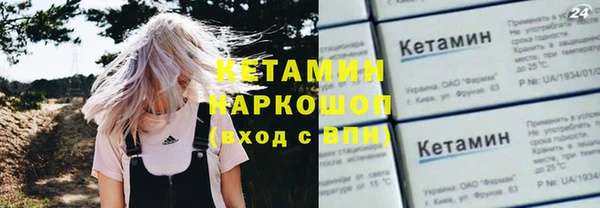 шишки Белокуриха